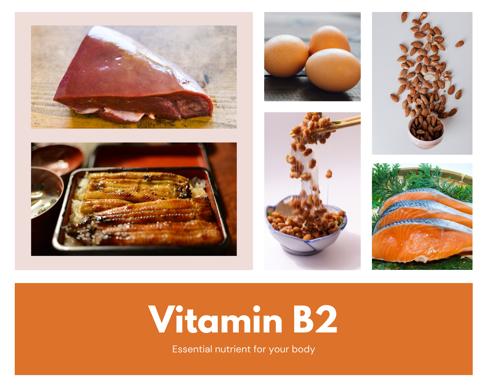 ビタミンb2を多く含む食べ物