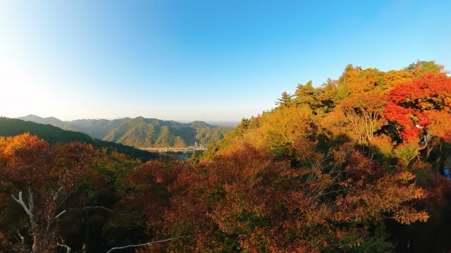 高尾山（東京都）