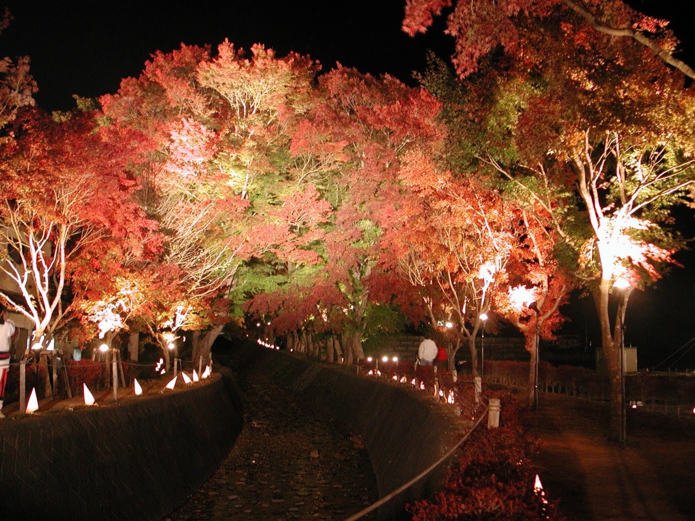 河口湖（山梨県）