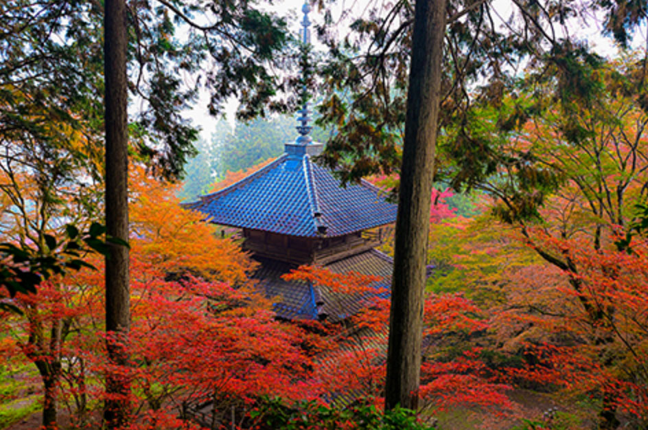 高源寺（兵庫県）