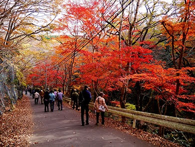 花貫渓谷（茨城県）