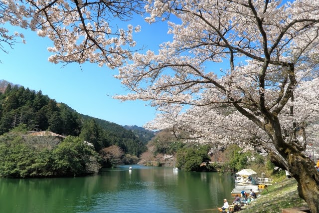 海津大崎(滋賀県)