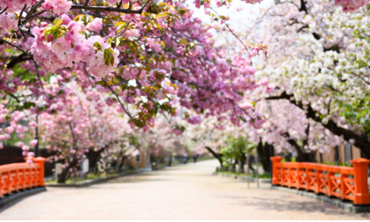 大阪造幣局(大阪府)