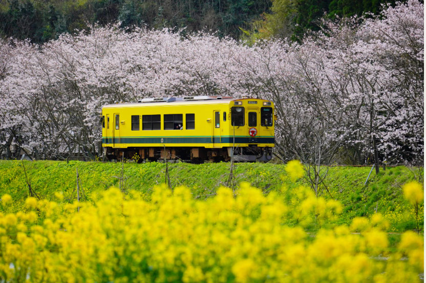 【千葉県夷隅郡】いすみ鉄道