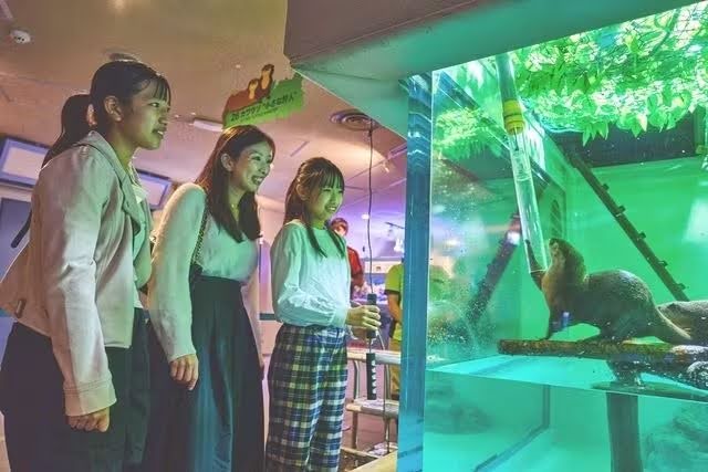 しながわ水族館(東京都)